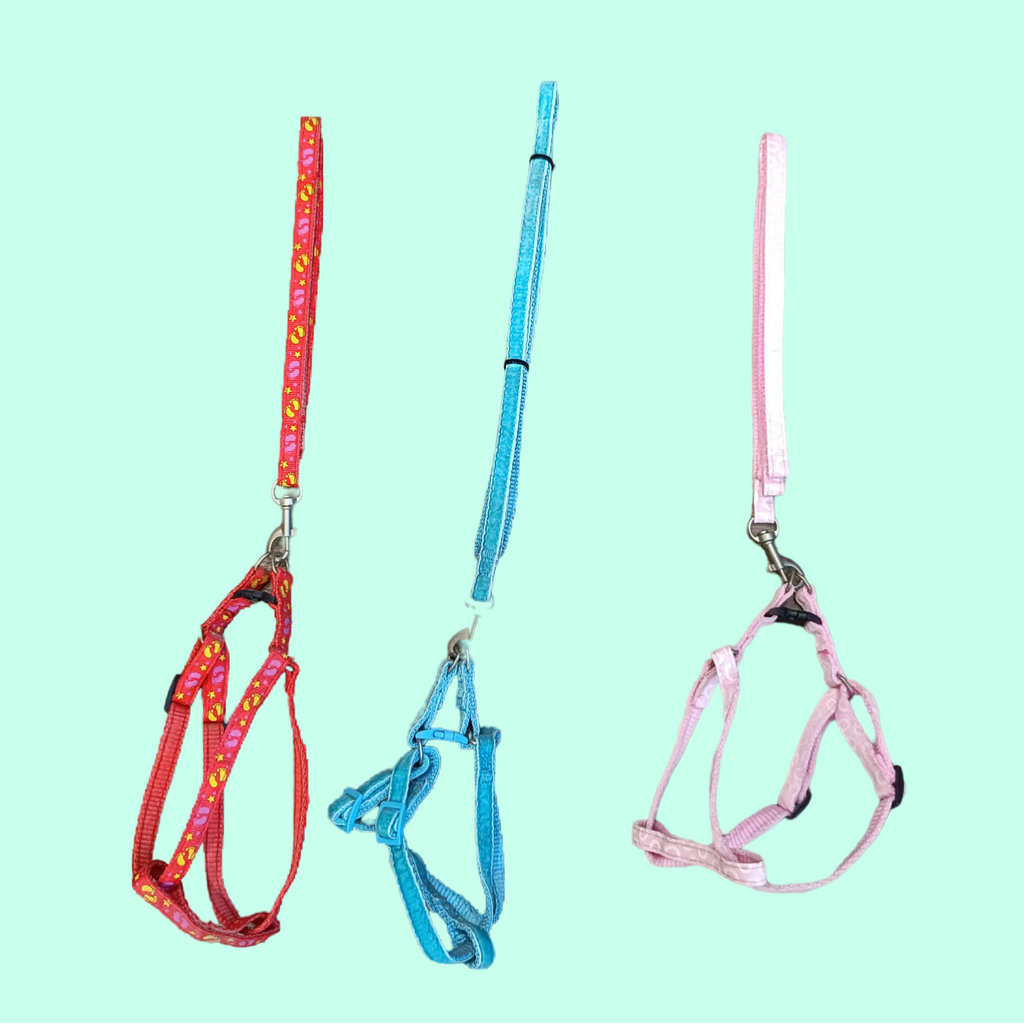 مقود كامل الجسم