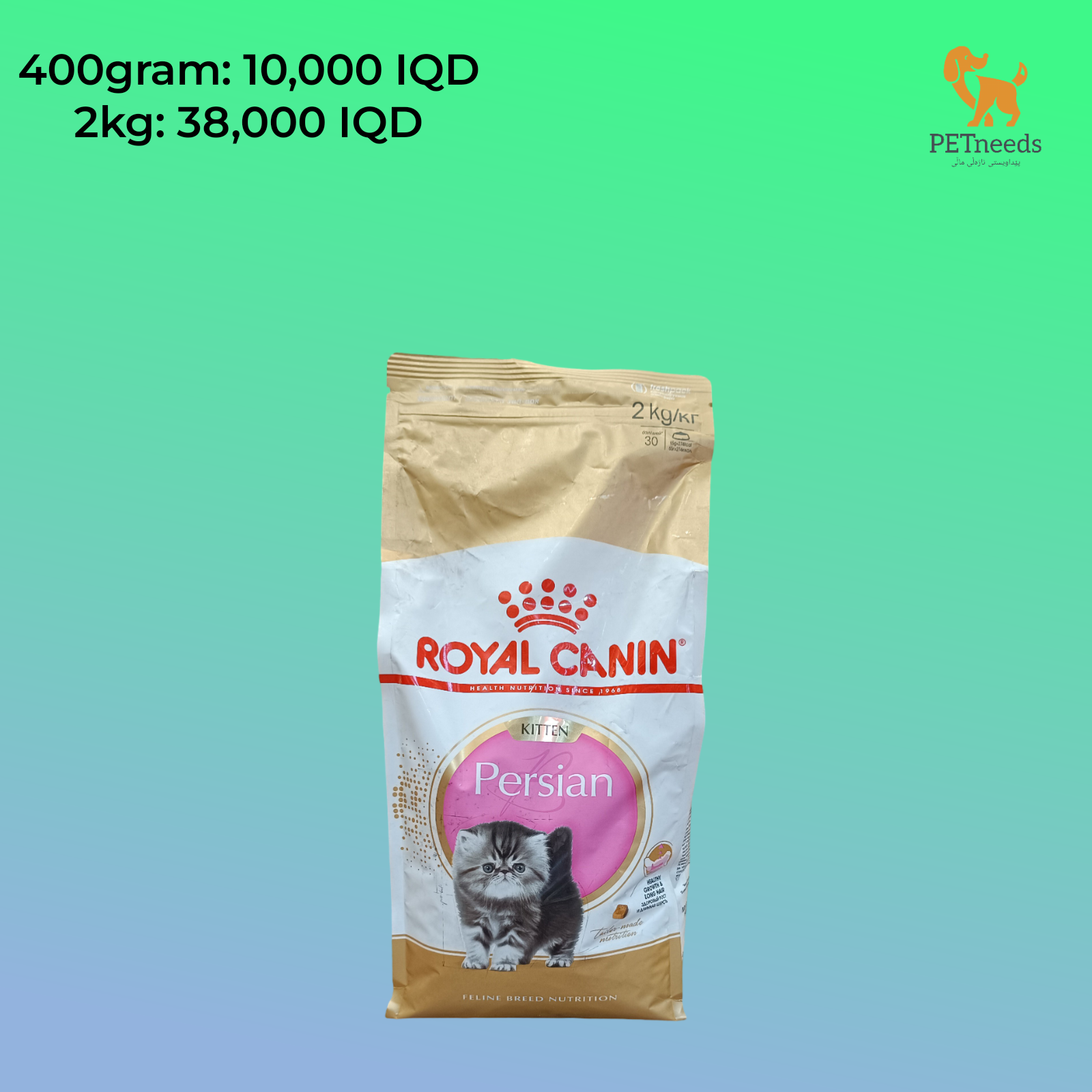 قطة رويال كانين الفارسية