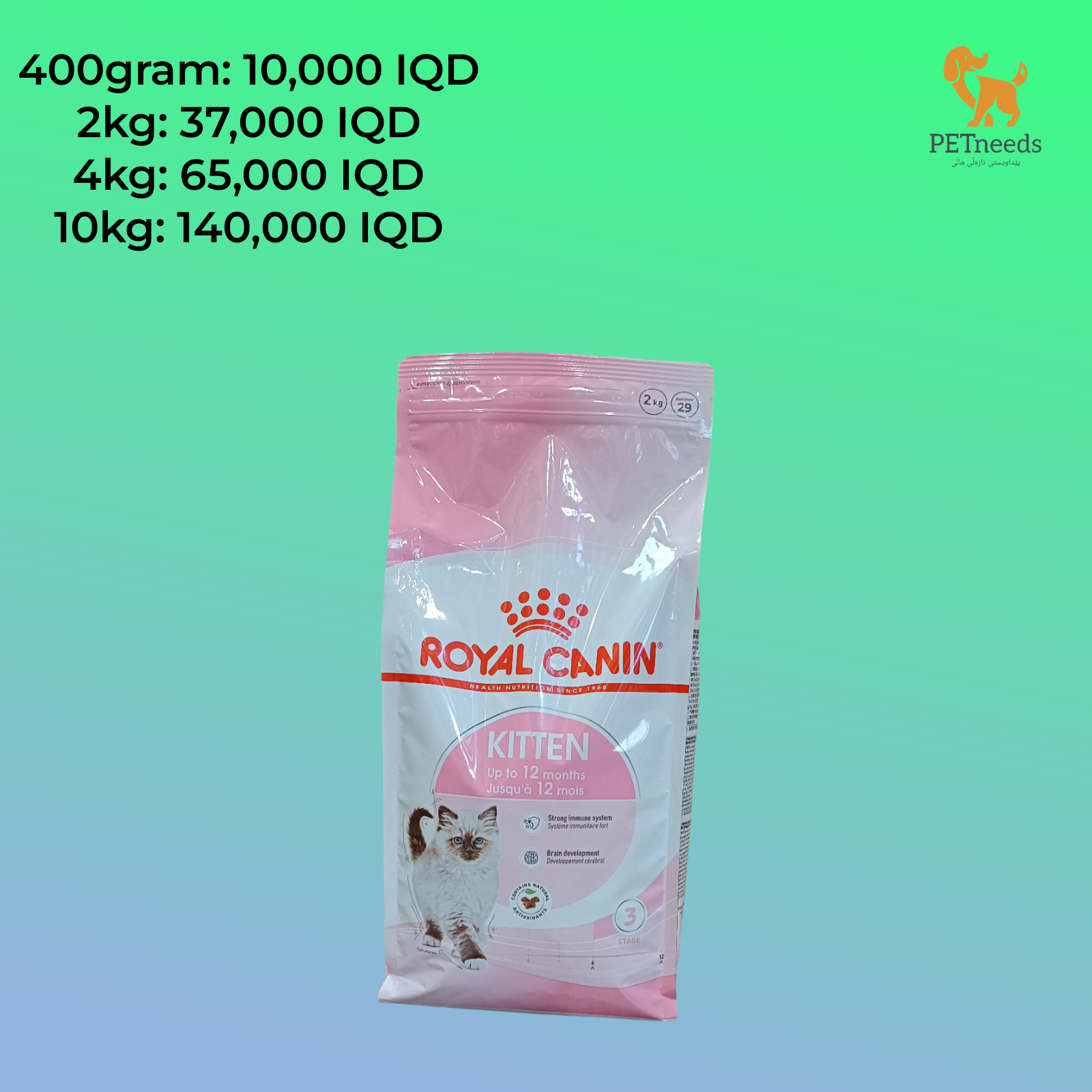 قطة رويال كانين