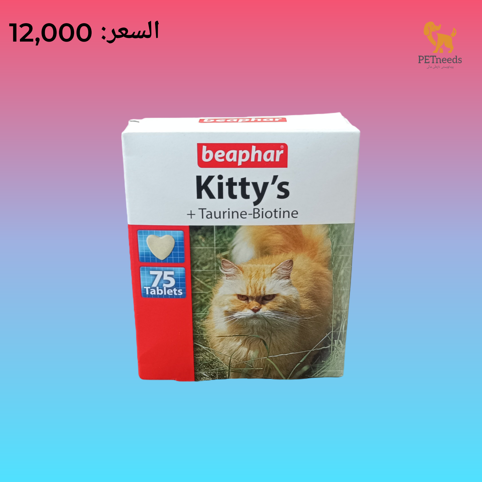 بيفار كيتي تورين-بيوتين