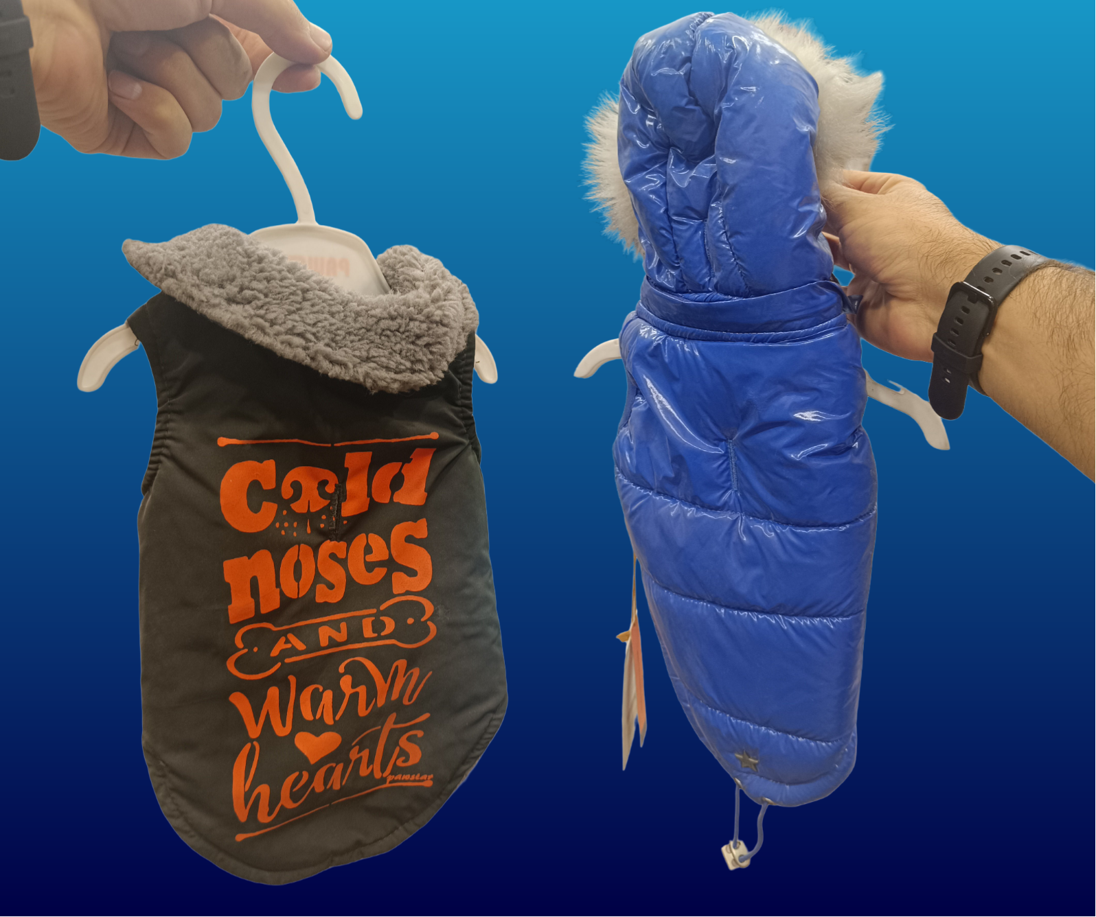 ملابس الحيوانات الأليفة