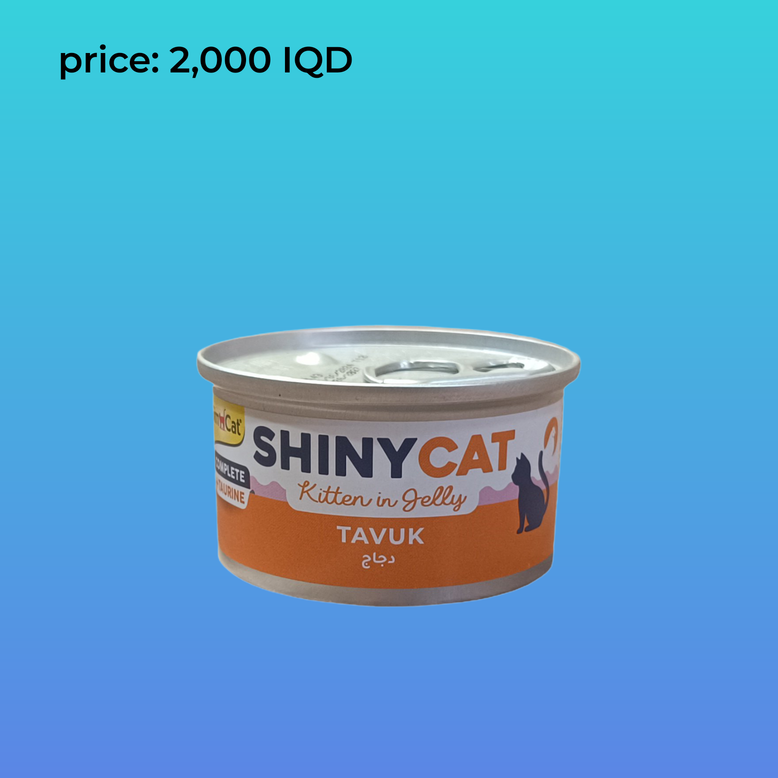 قطة صغيرة لامعة دجاجة