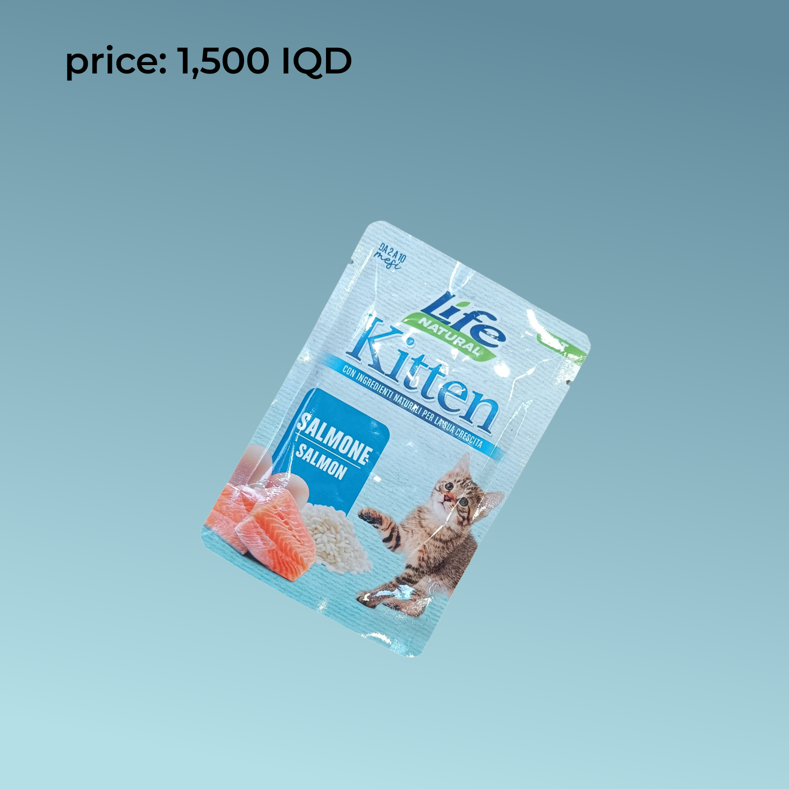 قطة حية 70 جرام