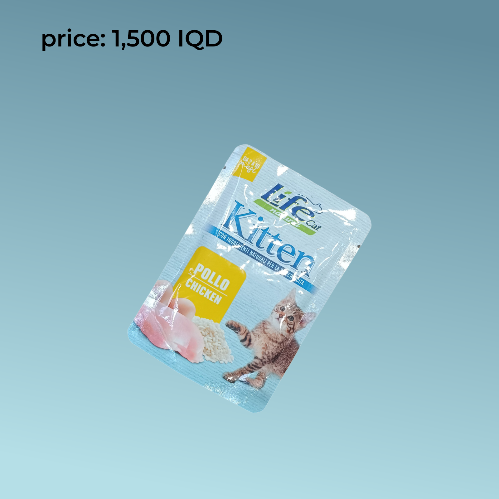 قطة حية 70 جرام