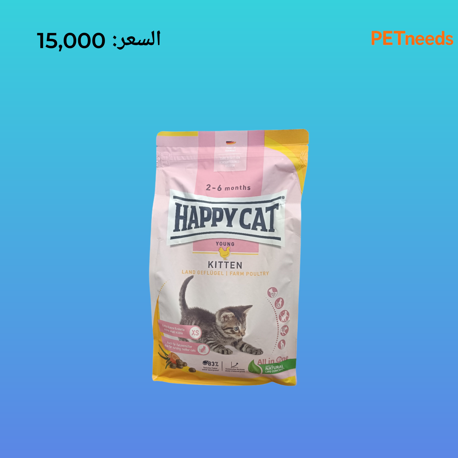 قطة سعيدة من عمر شهرين إلى ستة أشهر