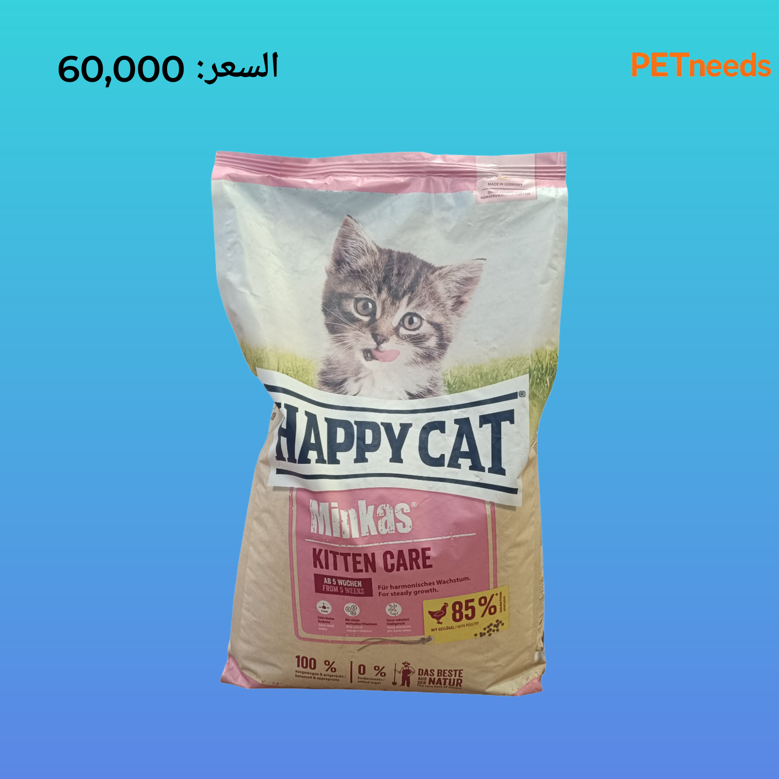 رعاية قطط مينكاس السعيدة