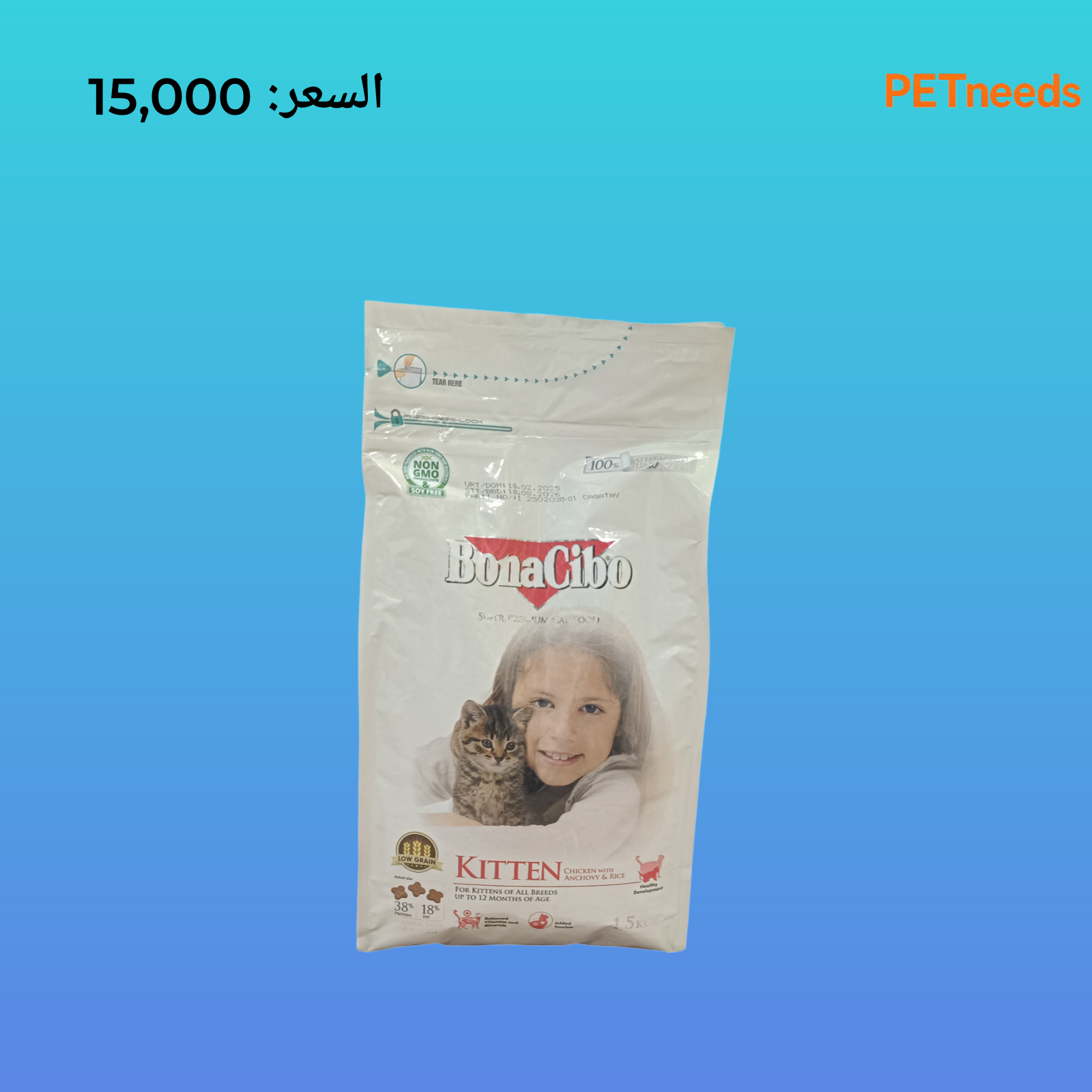 پشیلەیەکی بچووکی بۆناسیبۆ 1.5 کیلۆ