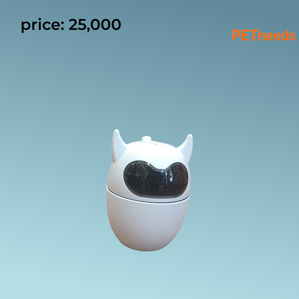 cat laser toy